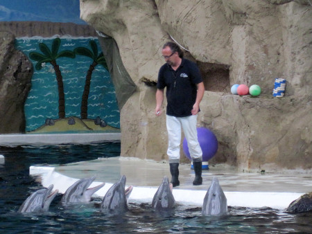 Ulf Schönfeld mit seinen Delfinen (Foto: Rüdiger Hengl)