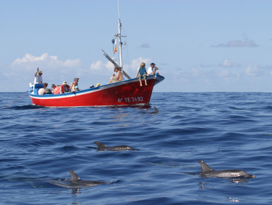 Hört ihr sie pfeifen? (Foto: Oceano)